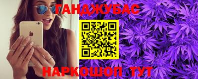 индика Новодвинск