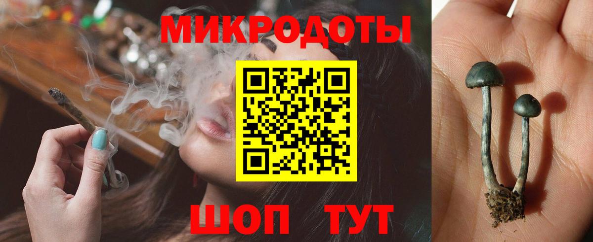 Рузаевка  Псилоцибиновые грибы мухоморы  даркнет сайт  Вход с VPN 